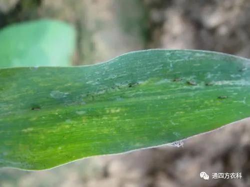 ���הQ����ô�k����ץ�o��Q��(hu��)Ӱ푮a(ch��n)��!!!