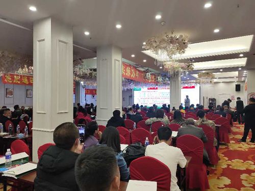 ������ӆ؛��(hu��)��Ƭ