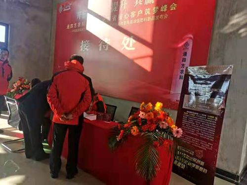 ����_������|����ʡ����